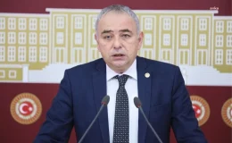 Dar Gelirli İçin Et ve Canlı Hayvan İthalatı Rekor Kırıyor