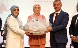 KO-MEK Kursiyerlerinin Eserleri Darıca İlçe Sergisinde Sergilendi