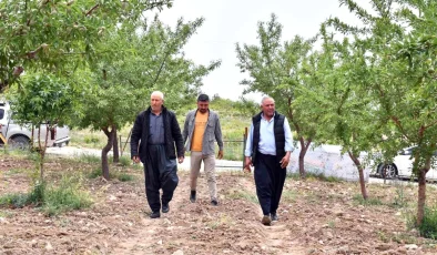 Mersin Büyükşehir Belediyesi ‘Organik Tarım’ Projesiyle Üreticileri Destekliyor
