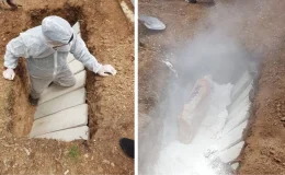 Bir ilimiz diken üstünde! Kene nedeniyle 3 kişi hayatını kaybetti, 35 kişi hastanelerde tedavi görüyor