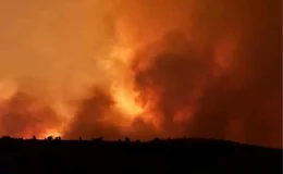 Diyarbakır-Mardin arasında çıkan yangınla ilgili KESK’ten açıklama