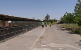 Diyarbakır’da yangında yaralanan hayvanların tedavisi devam ediyor