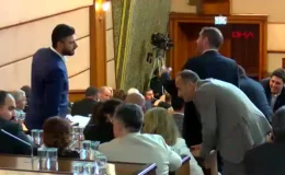 İBB Meclisi Sahipsiz Köpekler Konusunu Gündeme Aldı