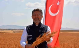 Tarım ve Orman Bakanı Yumaklı, yerli buğday çeşitlerinin hasadına katıldı