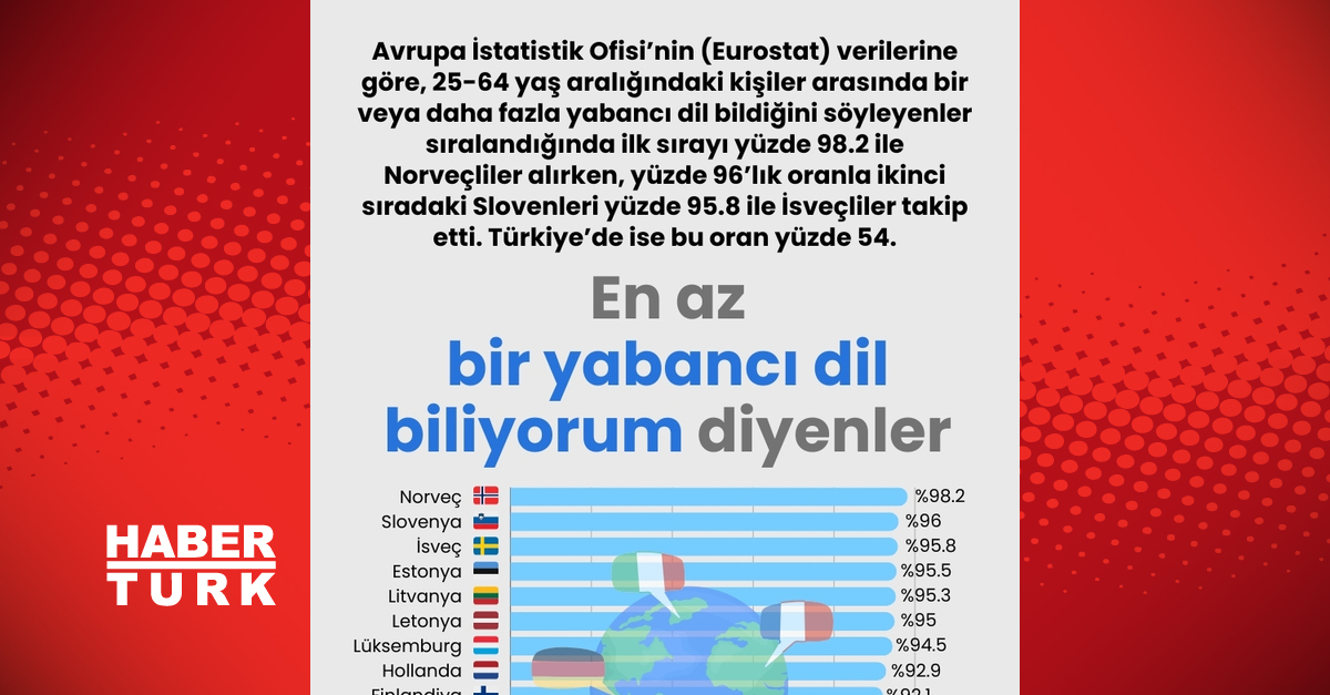 En az bir dil bilme yetkinliği